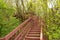 a view, looking up for the top of a long wooden staircase located in a forest. Part of a hiking trail and used to connect