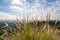 View of Los Angeles from the Hollywood Hills. Down Town LA. Hollywood Bowl. Warm sunny day. Beautiful clouds in blue sky