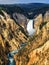 View of Lower Falls from Red Rock Point, Grand Canyon of the Yellowstone River, Yellowstone National Park, Wyoming, USA