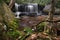 a view of lower somersby falls from behind trees on nsw central coast