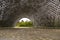 View of lush gardens in arched opening of giant shade metallic dome