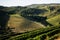 A view of the lush green vineyards of the Douro Valley in Porto, Portugal.