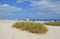 View of luxurious sandy beach with lounge chairs, umbrellas, and luxury beach beds at South Beach, Miami, Florida