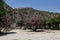 View of Lycian Myra in Turkey