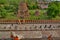 View from the main temple. Wat Yai Chai Mongkhon temple. Ayutthaya. Thailand