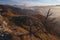 View  from Majerova skala rock with dead tree