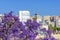 View of Malaga in a beautiful spring day, Spain