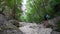 View of male hiking in mountain path of Monte Grappa surrounded by trees