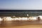 A view of Malibu beach and a bird stork flying over the ocean in California