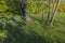 View of man cleaning grass form fallen leaves with rake.