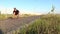 View of man rides longboard sitting at empty straight road and touch his sunglasses. Summer vacation hipster rides