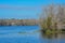 The view of Manatee Springs and Suwannee River. Manatee Springs State Park is in Chiefland, Florida