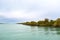 View of mangrove forests, strange forests that grow on water.