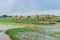 View of many huts in the rice fields that have just been cultivated