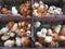 A view of many newborn yellow and brown chicken chicks that are for sale in cartonnen boxes