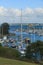 View of marina, Gulf Harbour, Auckland, New Zealand