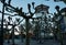 View on maritime museum castle tower   through trunks and branches on Burgplatz square Dusseldorf, Germany December 10, 201