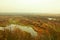 View of the marshland in the area of the river Desna