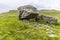 A view of a masive glacial erratic boulder resting on limestone pavement on the southern slopes of Ingleborough, Yorkshire, UK
