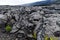 View of massive lava flow in Volcano National Park, on Hawaii`s Big Island. Plants in foreground.