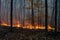 view of massive wildfire or forest fire with burning trees and orange smoke. Generative AI.