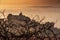 View of Matanga Hill during the sunrise, Unesco World Heritage town in Hampi, Karnataka, India