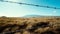 View of Mauna Kea mountains behind growing grass in Hawaii