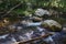 View of McFalls Creek