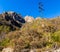 View of McKittrick Ridge on The McKittrick Canyon Trail