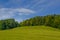 view of a meadow in austria stretched alongisde the famous semmering bahn walking track...IMAGE