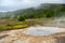 View of a Meadow with Steaming Hot Springs, Haukadalur Valley,