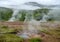 View of a Meadow with Steaming Hot Springs, Haukadalur Valley,