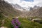 view of meadow with stones and flowers against footpath on foot of rocks, Ala Archa National