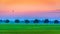 View of meadow with trees in line, orange sky with aerostat, Holland.