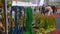 View of medals cup and statuettes on table with unfocused fighting sportsmen on tatami. Moscow judo competitions.