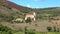 View of the medieval Abbey of San-Antimo, sunny day. Tuscany, Italy