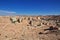 The view of the medina of El Atteuf city, Sahara desert, Algeria