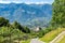 View of Merano Italy from a Hillside