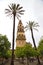 View of mesquita tower in Cordoba