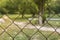 View through metal lattice fence