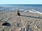 View of  mexican beach with shells