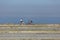 View of middle-aged couple, cycling on the eco pedestrian / bike path, near the sea, and, Leca da Palmeira