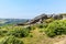 A view of a millstone rock cluster on the top of the Bamford Edge escarpment