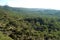 A view of mixed deciduous and coniferous forest in the Troodos Mountains of Cyprus