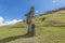 View of a moai in profile on the hill of the Rano Raraku volcano