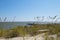 A view of Mobile Bay at Dauphin Island Alabama