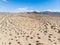 View of Mojave Desert panorama, an arid rain-shadow desert and the driest desert in North America, California, United States of