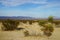 A view in Mojave desert part of Joshua Tree national park