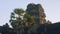 View of monkey on ruins of Angkor Wat temple in early morning