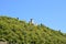 View of Monte Isola island from ferry on Lake Iseo, detail of hill, Lombardy, Italy